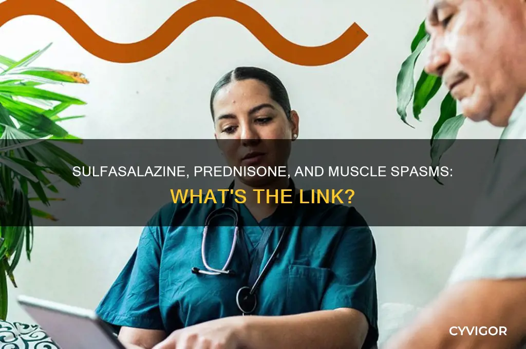 can sulfasalazine or prednisone cause muscle spasms