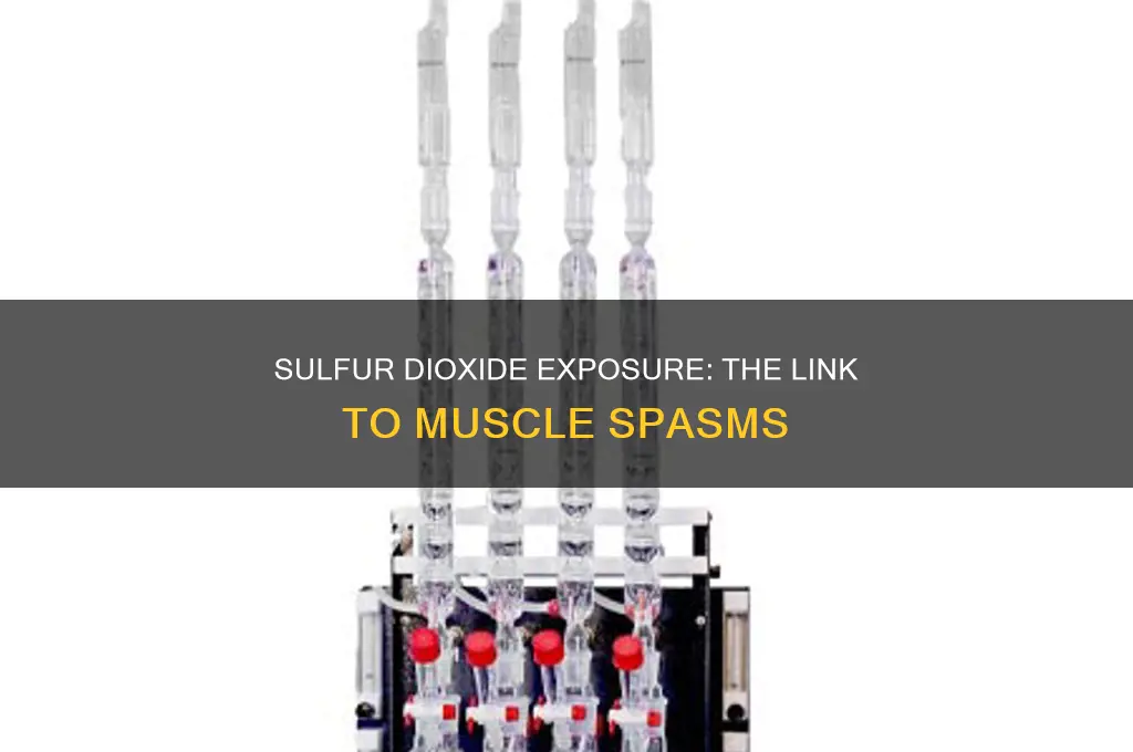 can sulfur dioxide cause muscle spasms