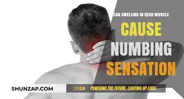 Head Muscle Swelling: Numbness and Other Warning Signs