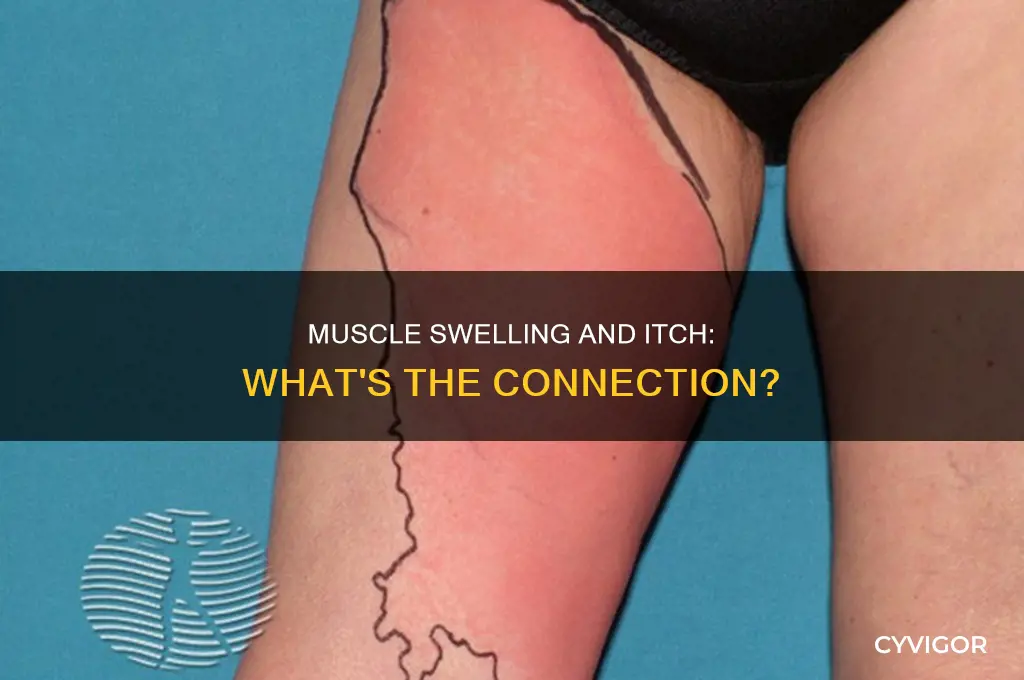 can swollen muscle cause itchiness