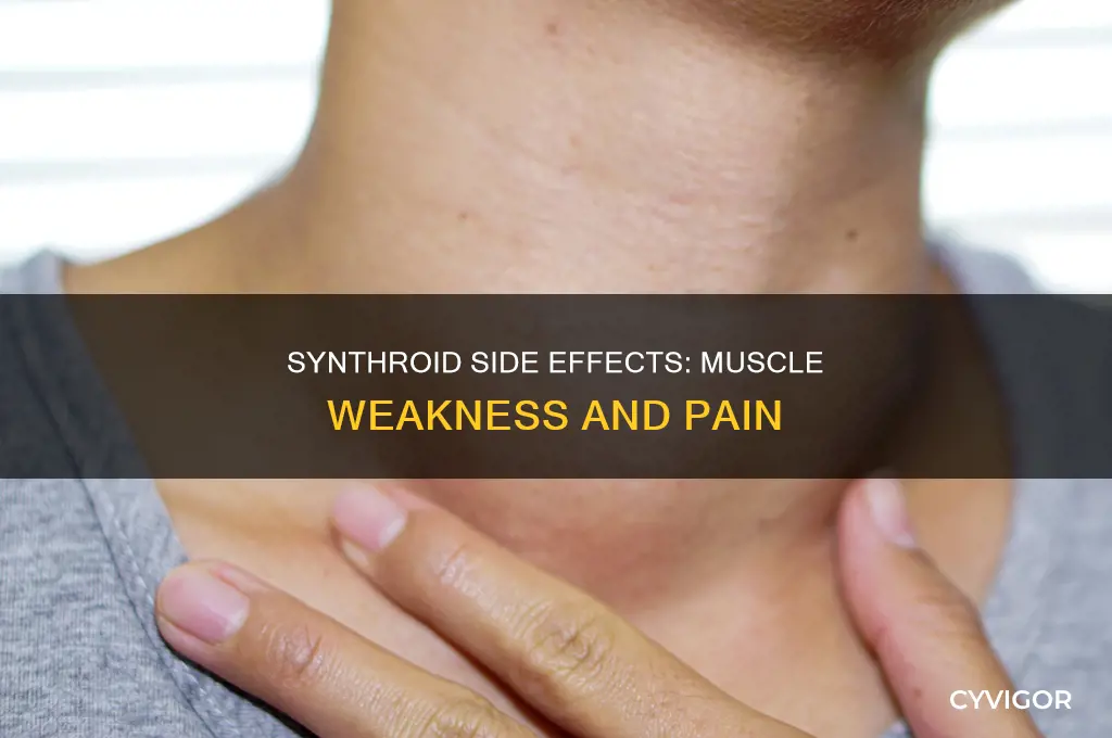 can synthroid cause muscle weakness and pain