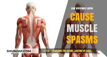 Lupus and Muscle Spasms: What's the Connection?