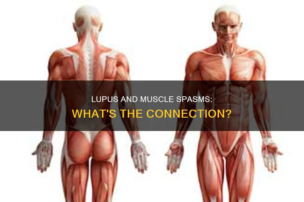 can systemic lupus cause muscle spasms
