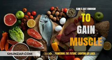 Struggling to Gain Muscle? How to Eat More Effectively