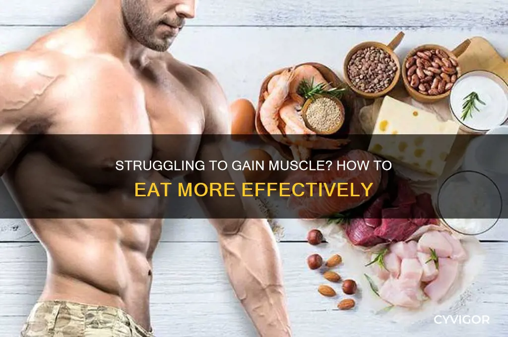 can t eat enough to gain muscle