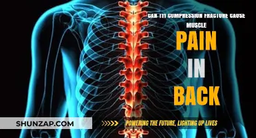 Back Pain: Understanding T11 Compression Fracture Symptoms