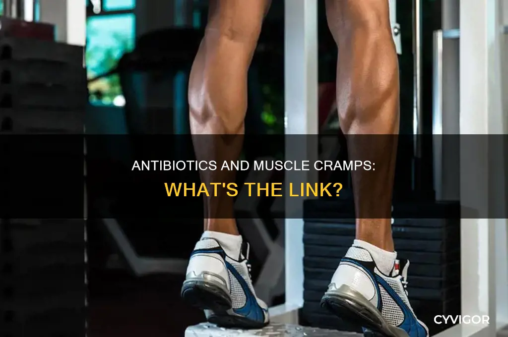 can taking antibiotics cause muscle cramps