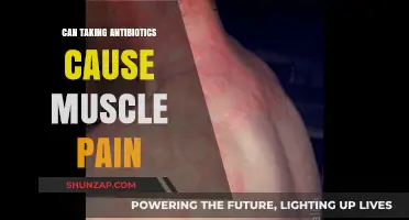 Antibiotics and Muscle Pain: What's the Link?