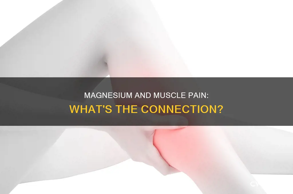 can taking magnesium cause muscle pain