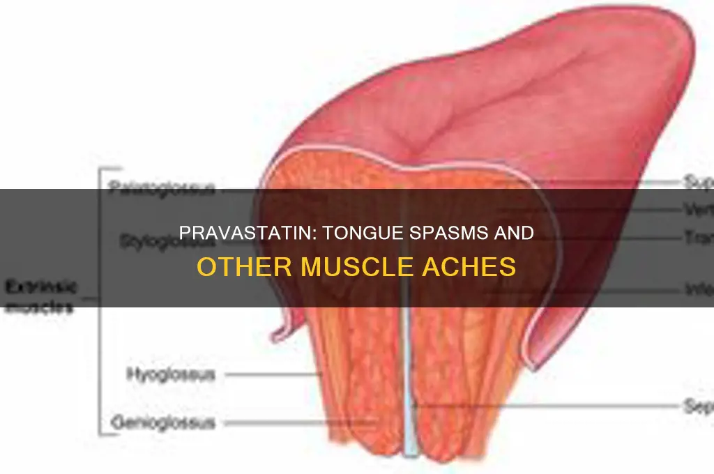 can taking pravastin cause muscle spasms in tounge