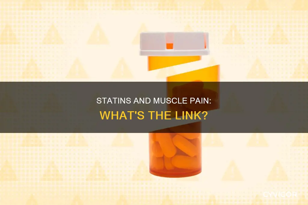 can taking statins cause muscle pain