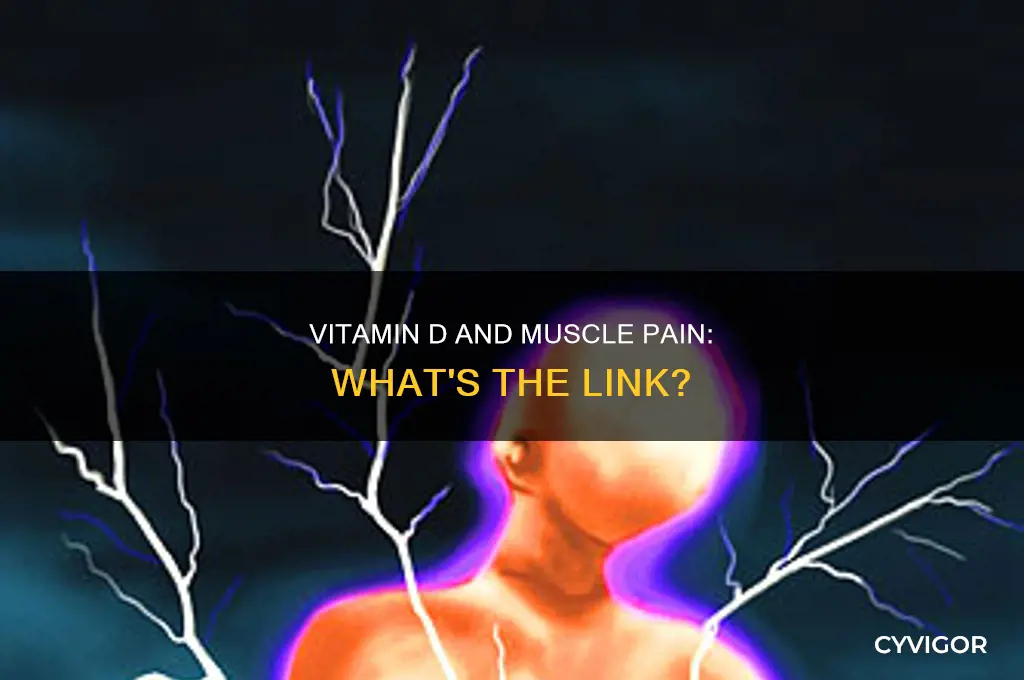 can taking vitamin d cause muscle pain