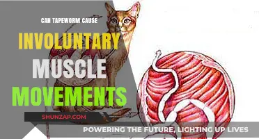 Tapeworm and Muscle Movements: What's the Link?