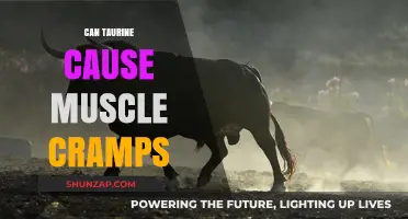 Taurine's Link to Muscle Cramps: What You Need to Know