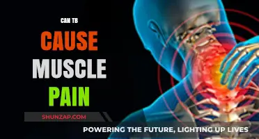 How Tuberculosis Triggers Muscle Pain and Aches