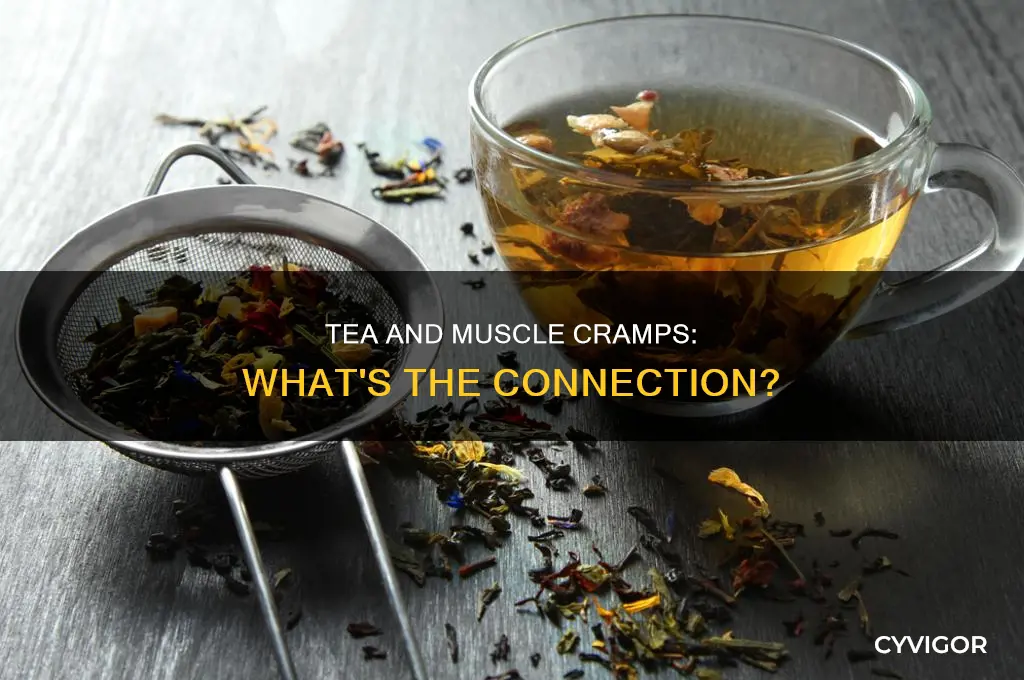 Tea And Muscle Cramps: What's The Connection? | CyVigor