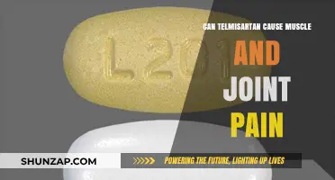 Telmisartan: Understanding Muscle and Joint Pain Risks