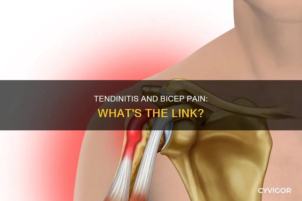 can tendinitis cause pain in bicep muscle