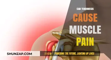 Tendinosis and Muscle Pain: What's the Connection?