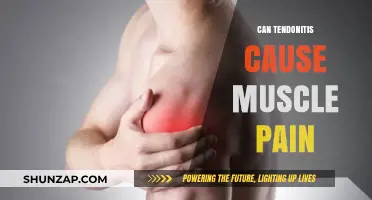 Tendonitis and Muscle Pain: What's the Link?