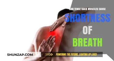 Back Muscle Tension: Can It Cause Shortness of Breath?