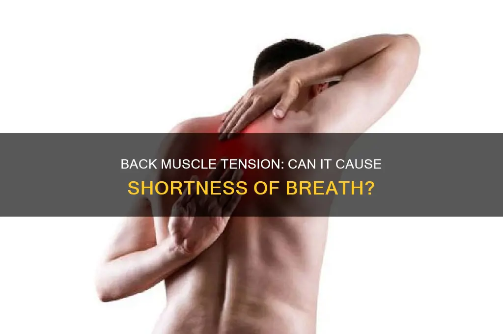 can tense back muscles cause shortness of breath