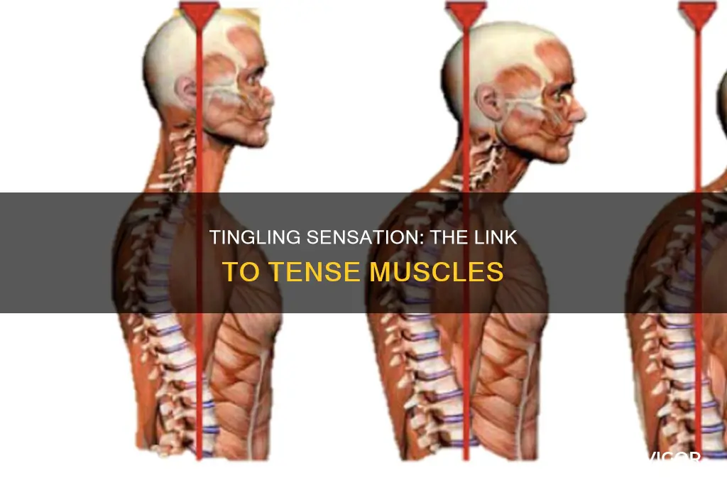 can tense muscles cause tingling
