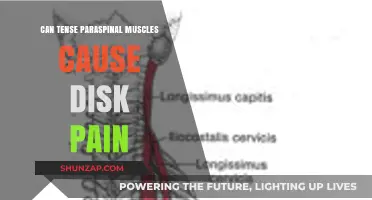 Tense Paraspinal Muscles: A Surprising Cause of Disk Pain?