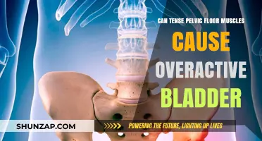 Pelvic Floor Tension: Overactive Bladder Culprit?
