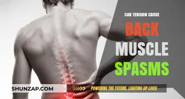How Tension Leads to Back Muscle Spasms