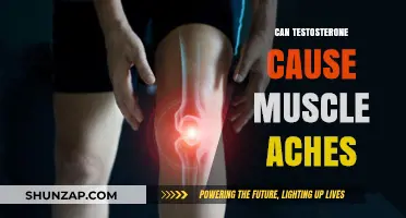 Testosterone Therapy: Muscle Aches and Pains