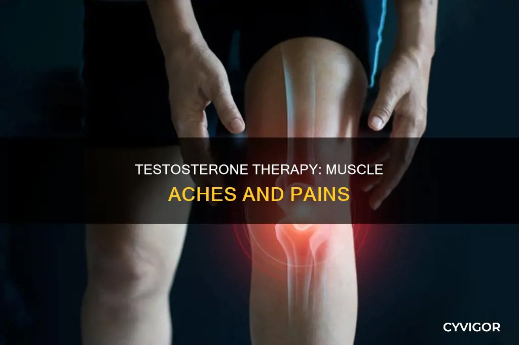 can testosterone cause muscle aches