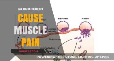 Testosterone Gel: Muscle Pain as a Side Effect?