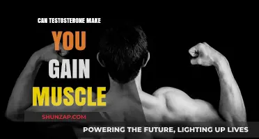 Testosterone's Role in Muscle Growth: Fact or Fiction?