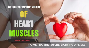 THC and Heart Health: Temporary Weakness Risk?