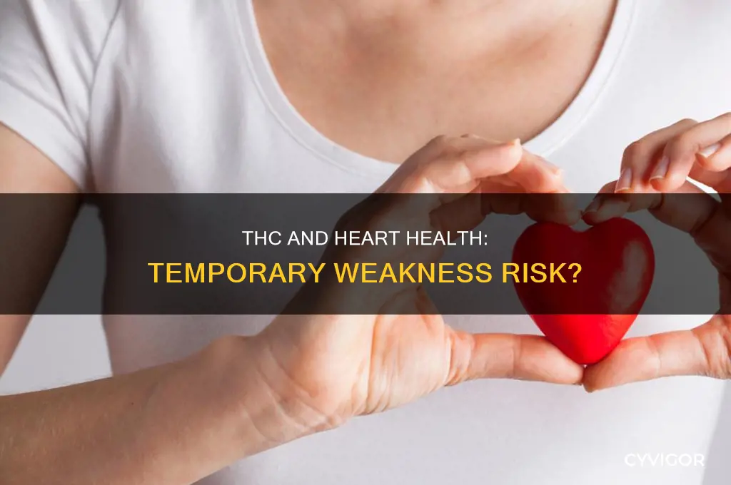 can thc cause temporary wekness of heart muscles