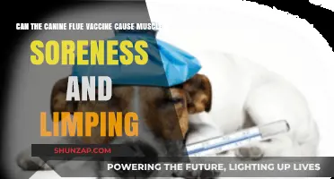 Canine Flu Vaccine Side Effects: Muscle Soreness and Limping?
