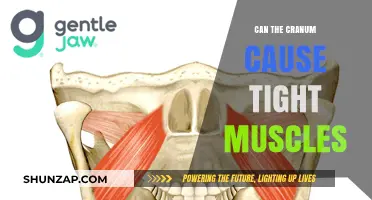 Cranium-Muscle Connection: Unraveling the Mystery of Tight Muscles