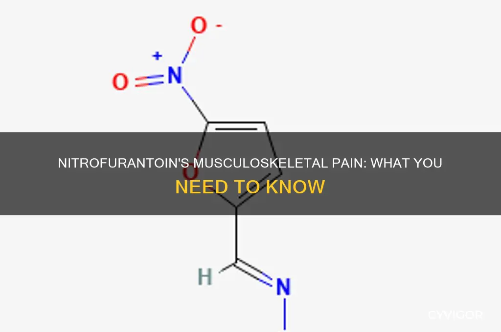 can the drug nitrofurantoin cause muscle and joint pain