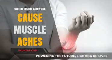 Epstein-Barr Virus: Muscle Aches and Pains Explained