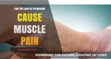 Muscle Pain and Potassium: What's the Connection?
