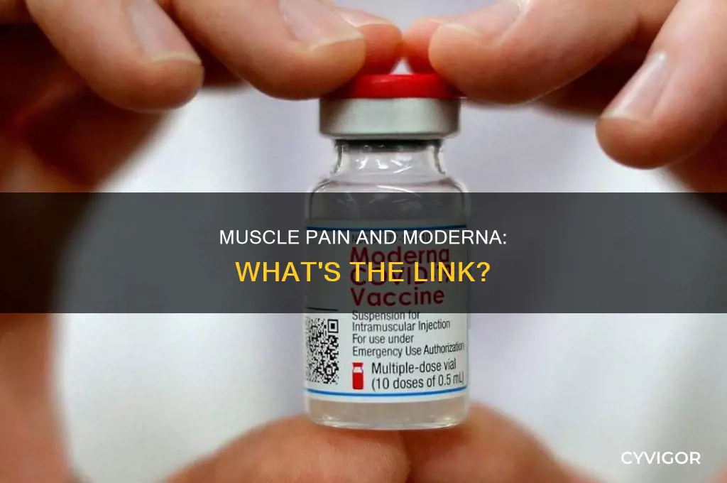 can the moderna vaccine cause muscle pain