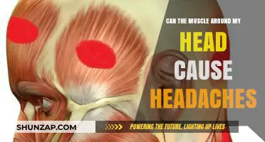 Head Muscle Tension: A Headache Trigger?