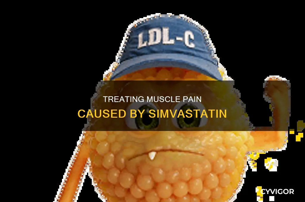 can the muscle pain caused by simvastatin treated