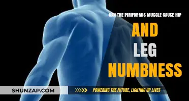 Piriformis Syndrome: Hip and Leg Numbness Explained
