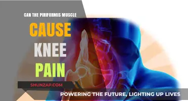 Piriformis Muscle and Knee Pain: What's the Link?