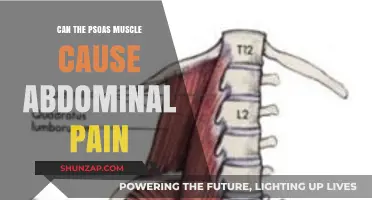 Psoas Muscle and Abdominal Pain: What's the Link?