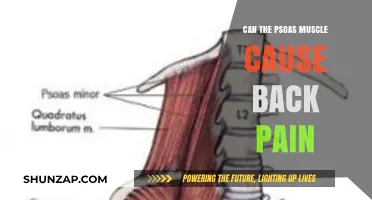 Psoas Muscle and Back Pain: What's the Connection?
