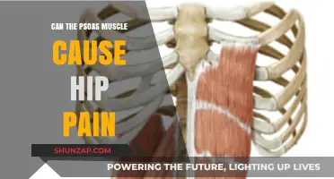 Psoas Muscle and Hip Pain: What's the Connection?