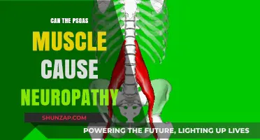 Psoas Muscle and Neuropathy: Is There a Link?